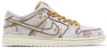 City of Style nike SB