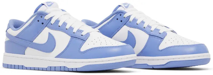 Polar Blue Dunk